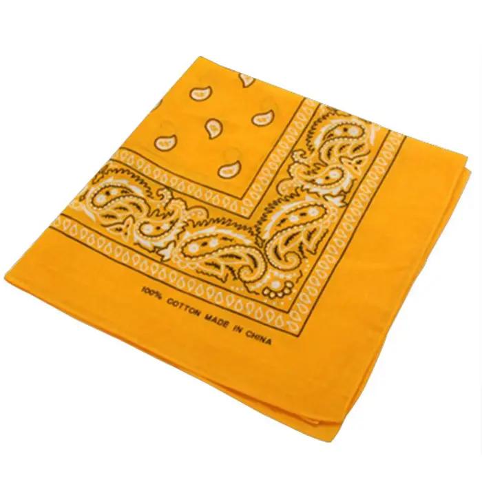 Foulard Hip Hop Paisley Imprimé Polyestère Multifonctionnel Pour Femmes Hommes Occasions Décontractées Sportives Mode
