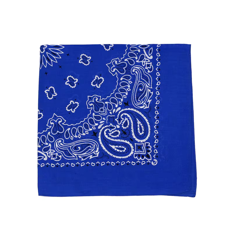 Hip-hop hommes Bandana écharpe imprimé Paisley en bleu vert violet couleur coton bandeau mouchoirs