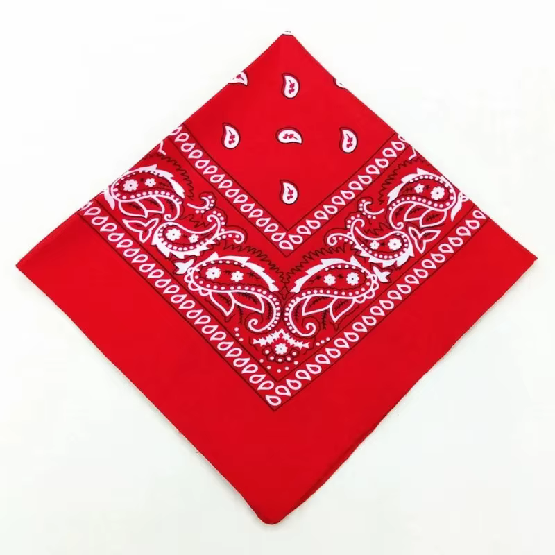 1/8/10 pièces bohème imprimé Bandana Paisley motif bandeaux Hiphop foulard extérieur unisexe bandeau