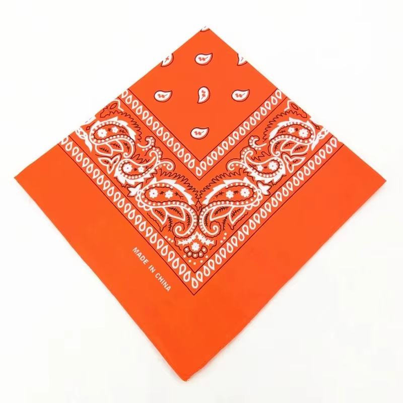 1/8/10 pièces bohème imprimé Bandana Paisley motif bandeaux Hiphop foulard extérieur unisexe bandeau