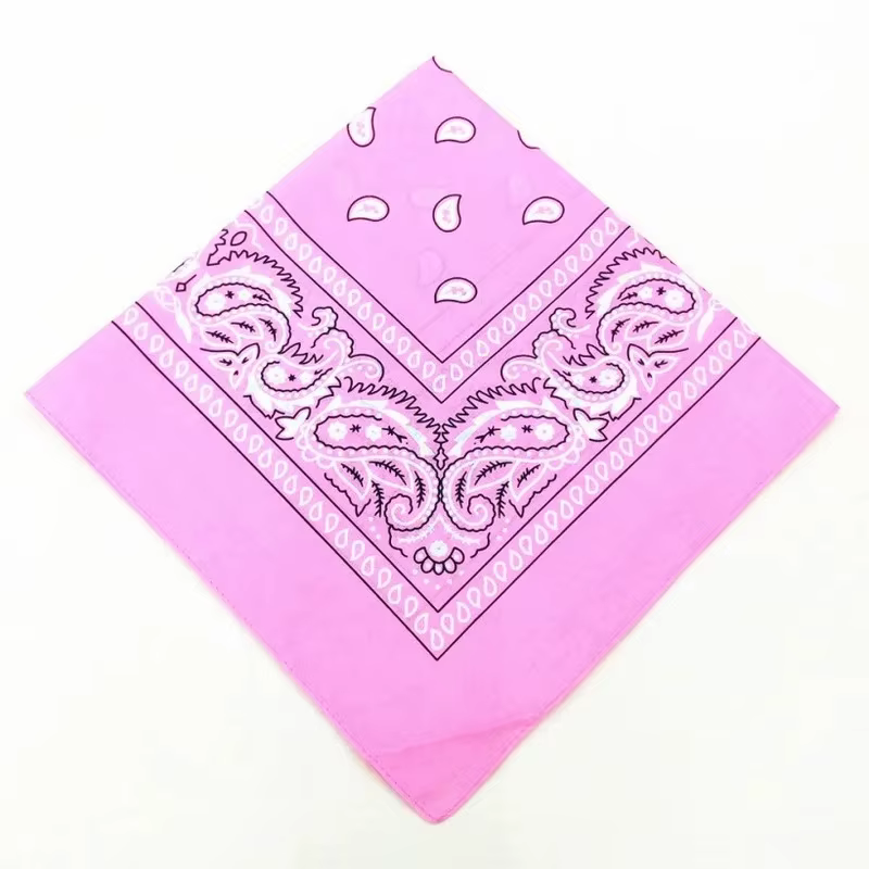 1/8/10 pièces bohème imprimé Bandana Paisley motif bandeaux Hiphop foulard extérieur unisexe bandeau