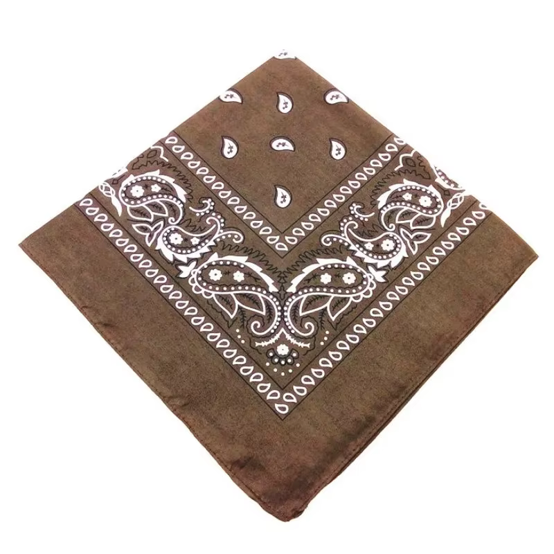 1/8/10 pièces bohème imprimé Bandana Paisley motif bandeaux Hiphop foulard extérieur unisexe bandeau