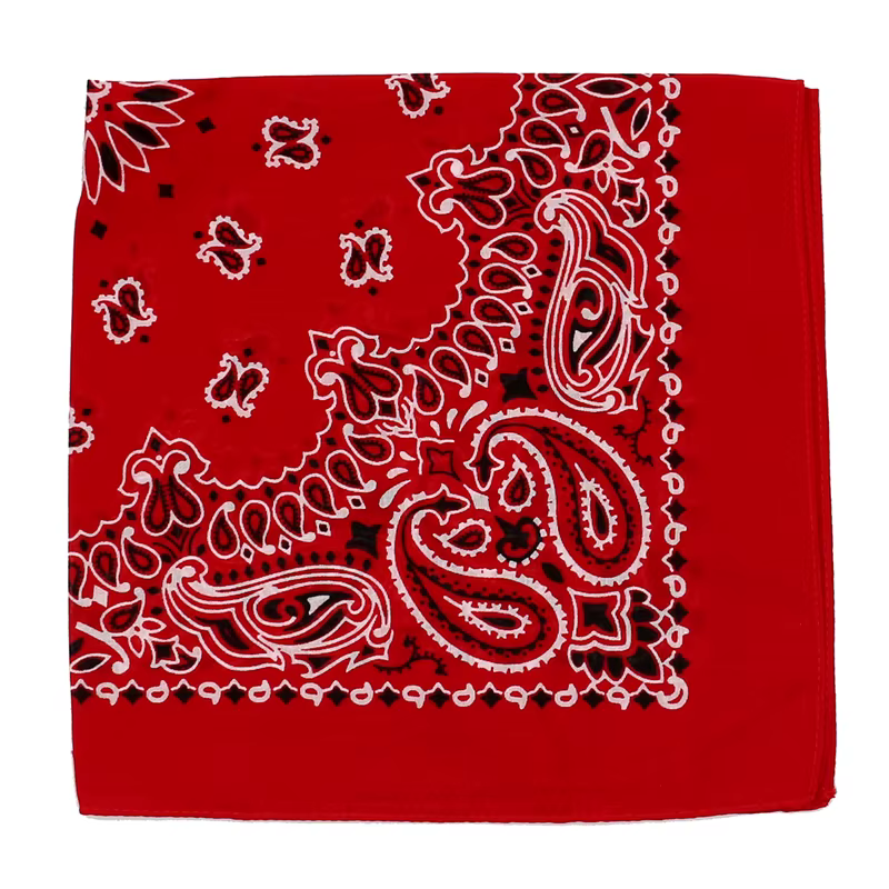Foulard carré en coton Paisley pour hommes et femmes