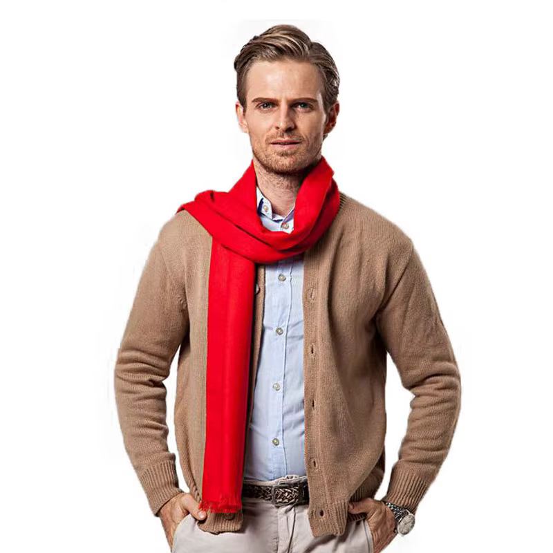 Écharpe monochrome en cachemire pour homme