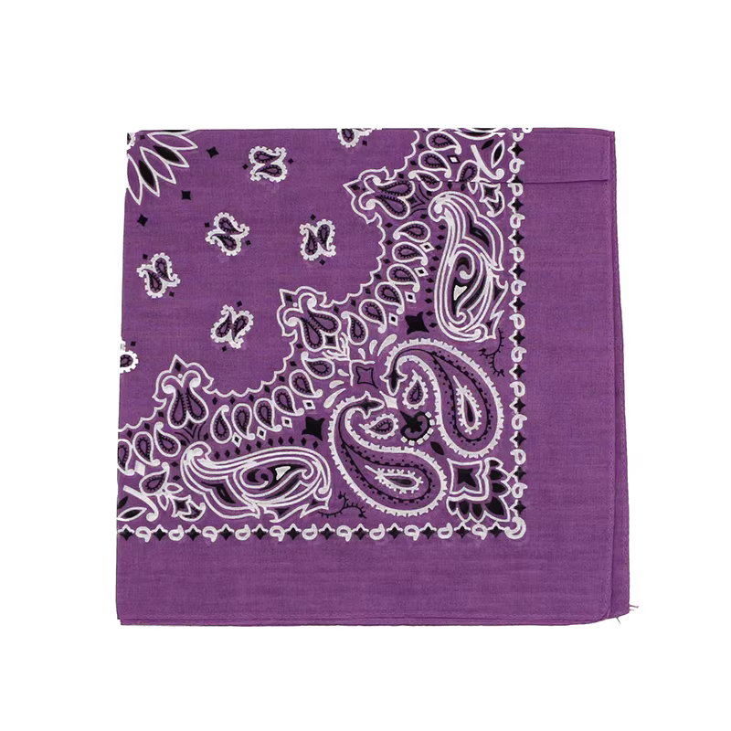 Hip-hop hommes Bandana écharpe imprimé Paisley en bleu vert violet couleur coton bandeau mouchoirs