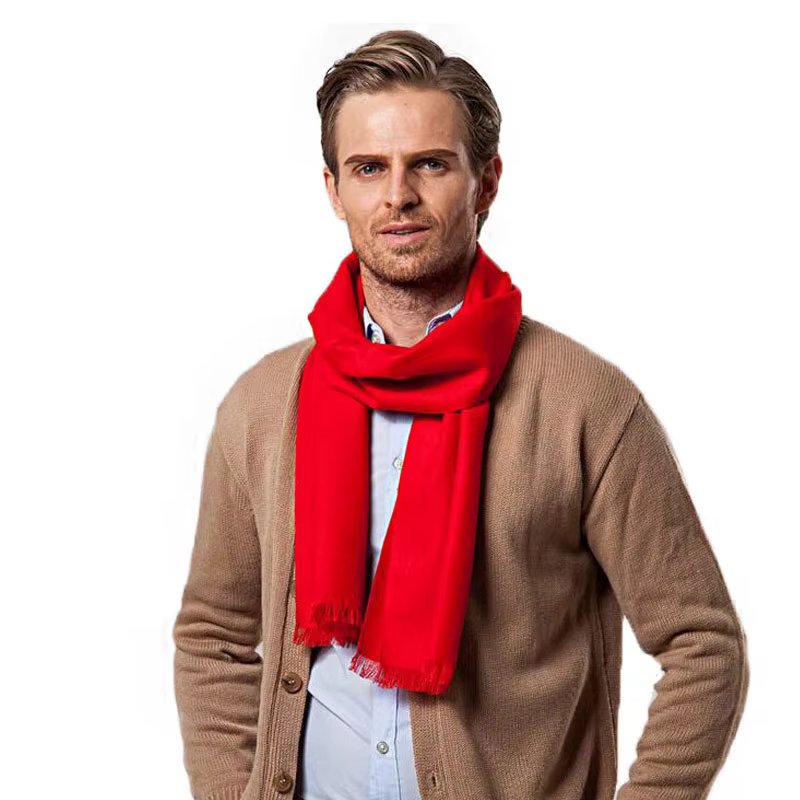 Écharpe monochrome en cachemire pour homme