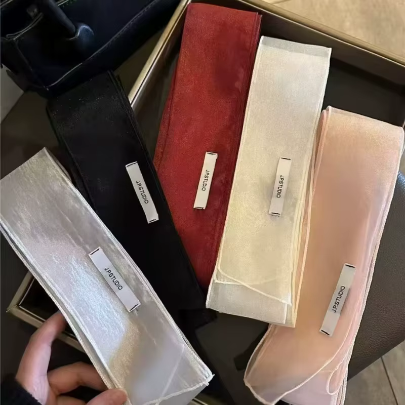 Écharpe longue transparente pour femmes